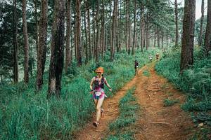 BIB: 
                            <button type="button" onclick="openModal(25660230)" class="btn btn-primary btn-sm float-right btn-popup" data-toggle="modal" data-target=".modal-high-quality">
                        <i class="fas fa-shopping-cart"></i> Add to Cart
                    </button>
                                            <button type="button" onclick="isThisMe(25660230, true)" class="btn btn-success btn-sm float-right btn-popup btn-isme hidden" data-toggle="tooltip" data-placement="bottom" title="นี่คือรูปของคุณใช่ไหม คลิกที่นี่เพื่อเอาเข้าอัลบั้ม">
                        <i class="fas fa-plus"></i> Add to album
                    </button>
                    <button type="button" onclick="isThisMe(25660230, false)" class="btn btn-warning btn-sm float-right btn-popup btn-isnotme hidden">
                        <i class="fas fa-ban"></i> Remove from album
                    </button>